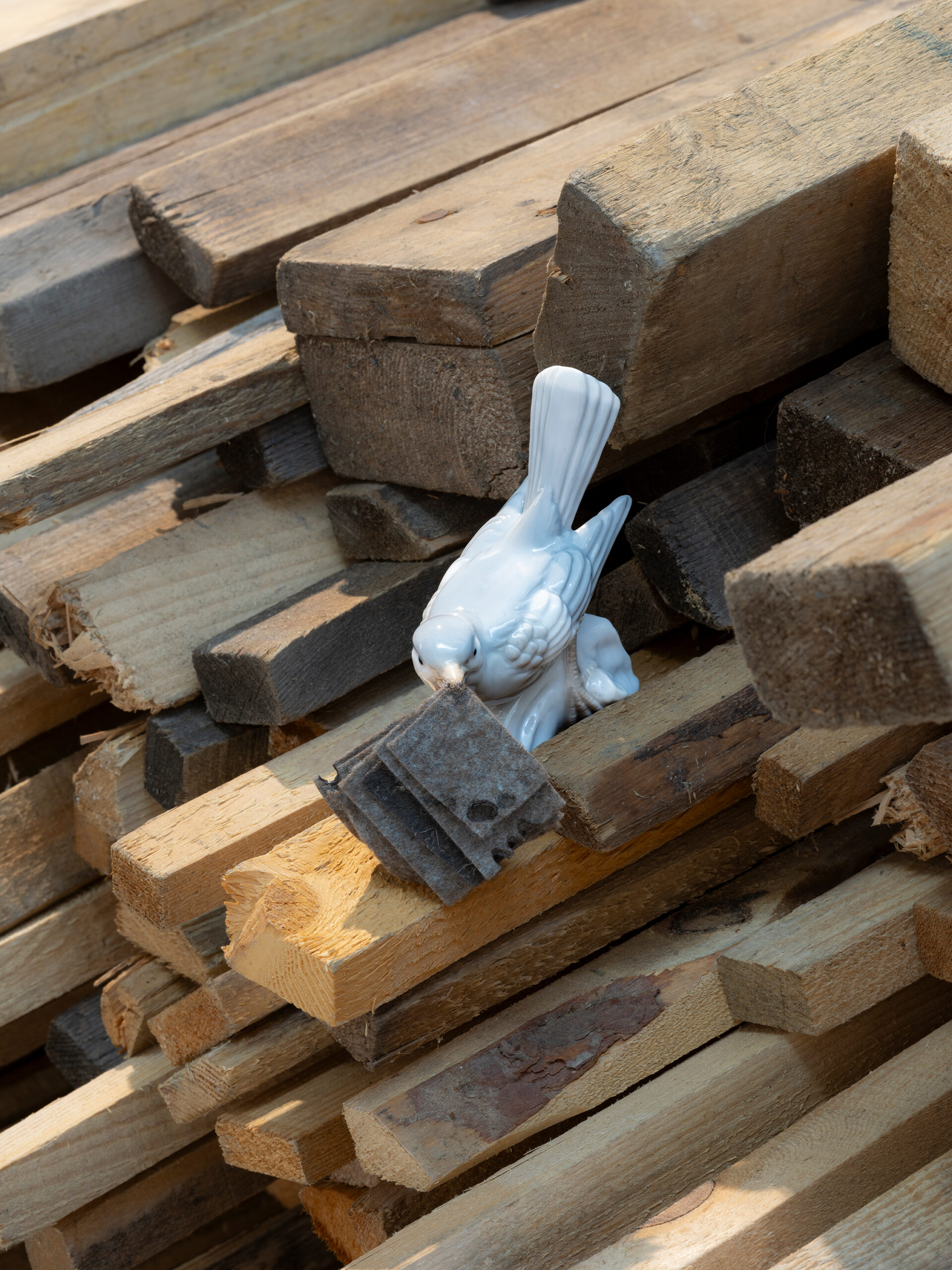 Hera Büyüktaşcıyan2.jpg adlı dosyanın kopyası