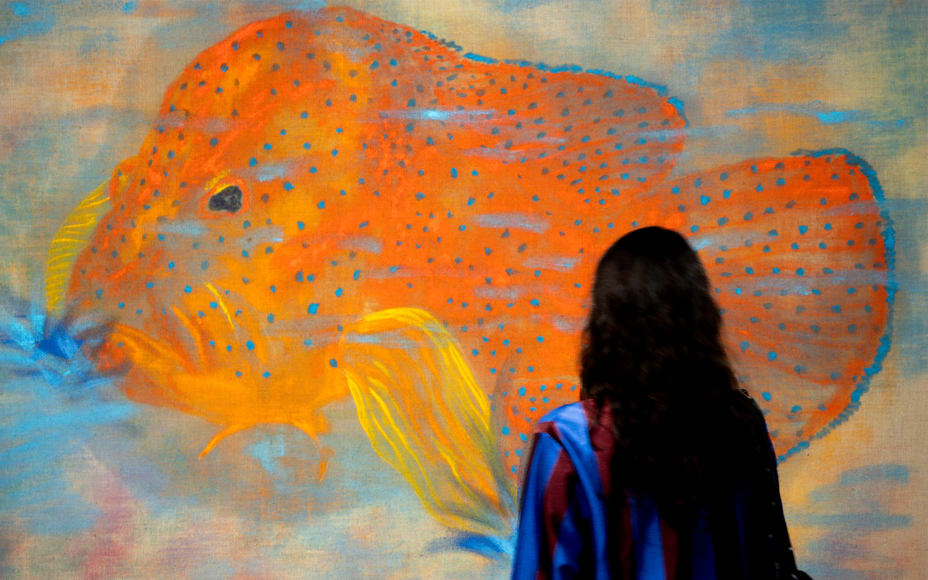 ygqiportcdminb8soyof